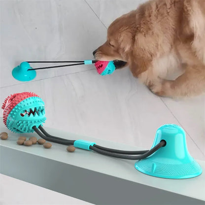 Interactive Suction Cup Dog Toy Ball – Tug & Chew Training Toy for Dogs