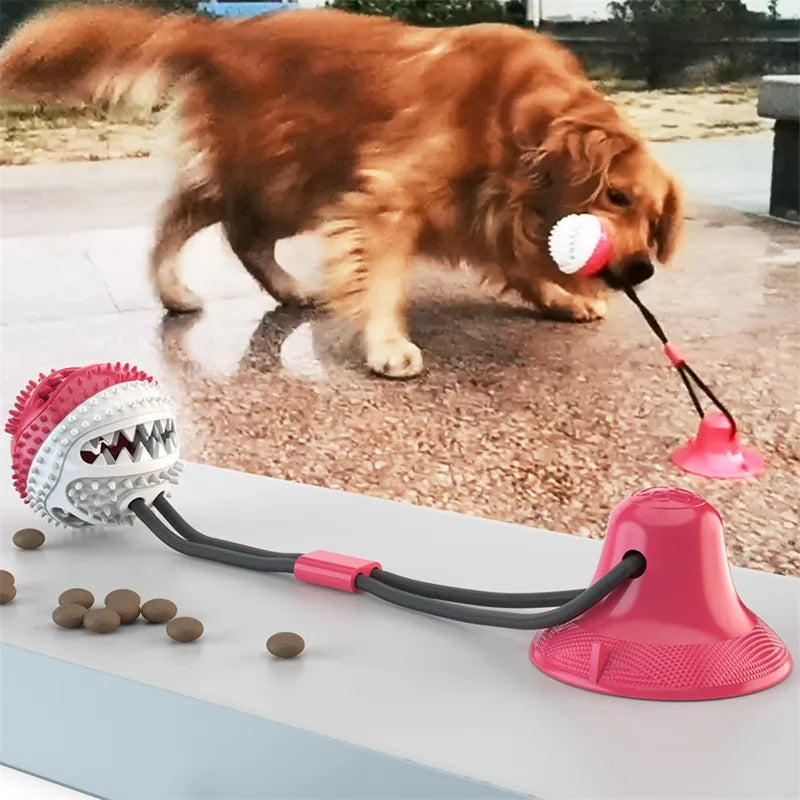 Interactive Suction Cup Dog Toy Ball – Tug & Chew Training Toy for Dogs