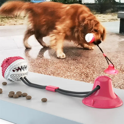 Interactive Suction Cup Dog Toy Ball – Tug & Chew Training Toy for Dogs