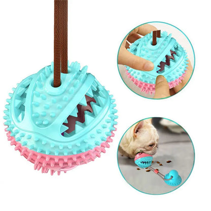 Interactive Suction Cup Dog Toy Ball – Tug & Chew Training Toy for Dogs