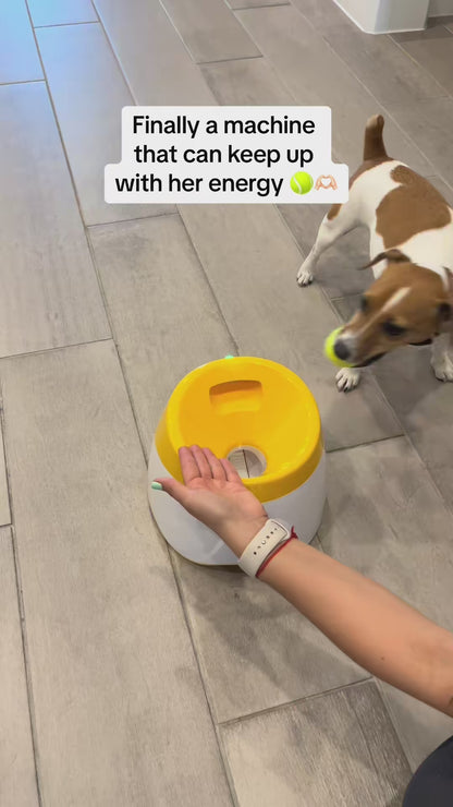 Automatic Tennis Ball Launcher – Interactive Fetch Machine for Dogs & Solo Training