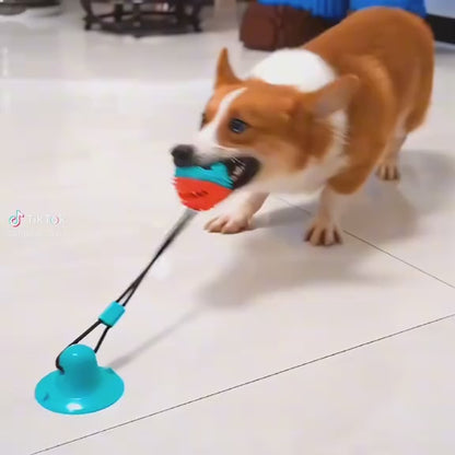 Interactive Suction Cup Dog Toy Ball – Tug & Chew Training Toy for Dogs
